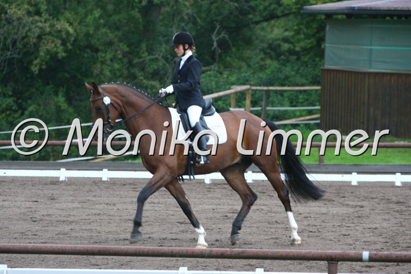 009M8522_Dreamcatcher_Dressurpf A.JPG